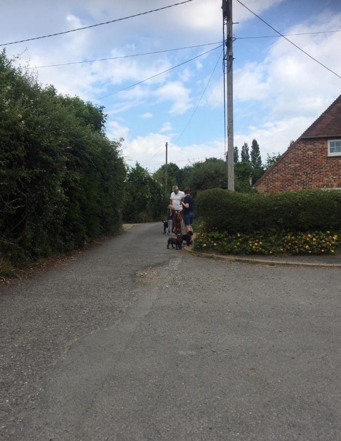 The Guest Suite, Buttsfield Lane. East Hoathly with Halland エクステリア 写真